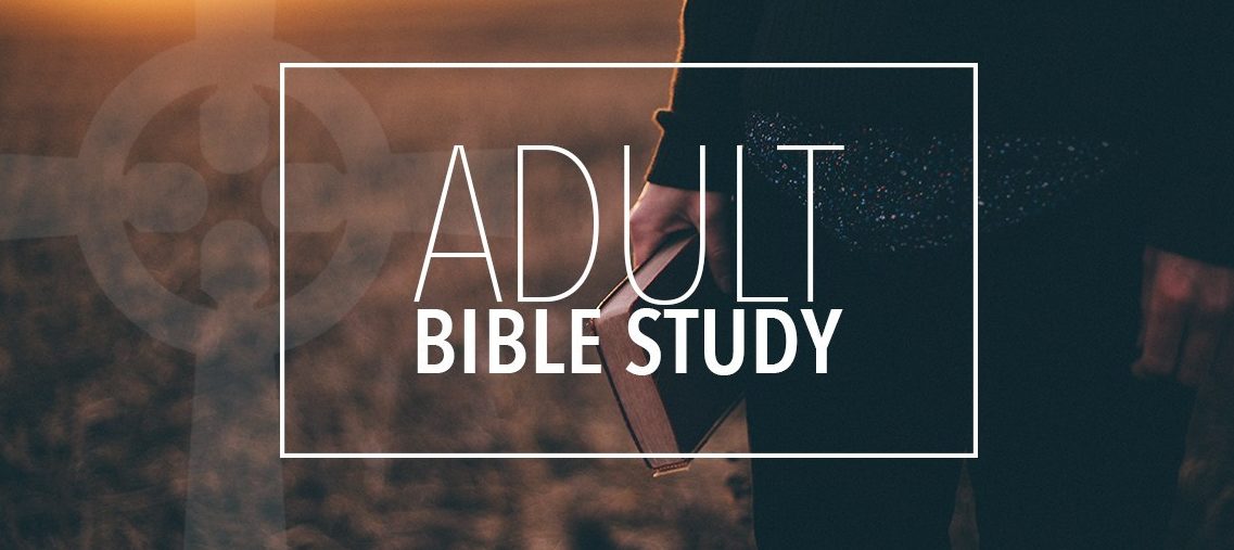 Lectionary Adult Bible Study on Zoom.