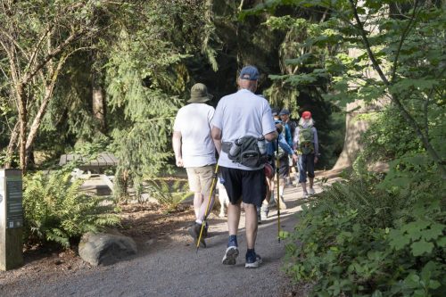 2026 Walk The Wildwood-1