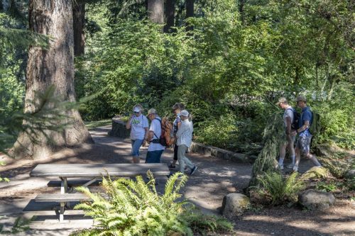2026 Walk The Wildwood-24