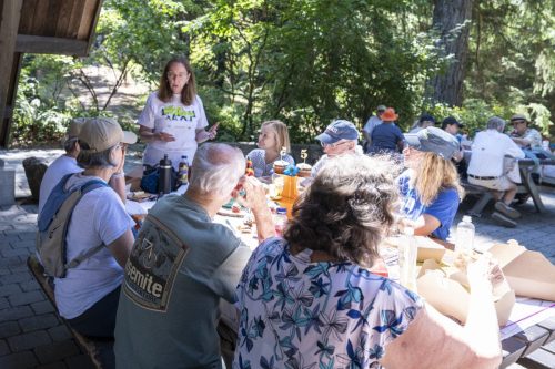 2026 Walk The Wildwood-86