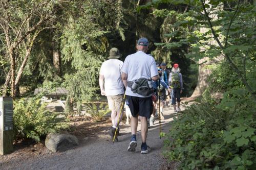 2026-Walk-The-Wildwood-1