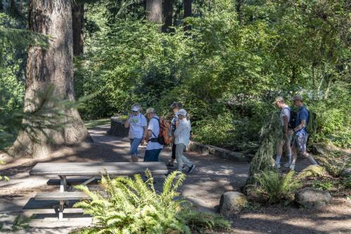 2026-Walk-The-Wildwood-24