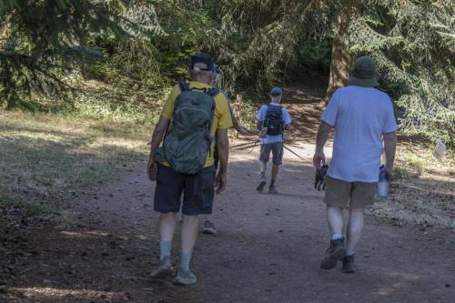 2026-Walk-The-Wildwood-39
