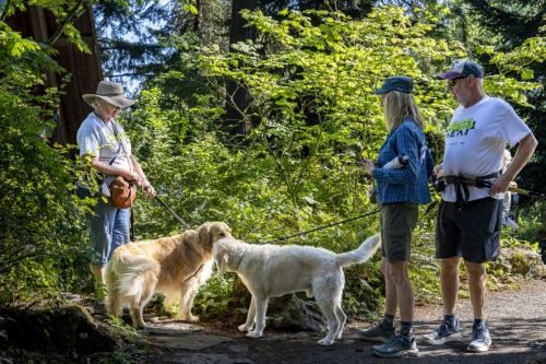 2026-Walk-The-Wildwood-40