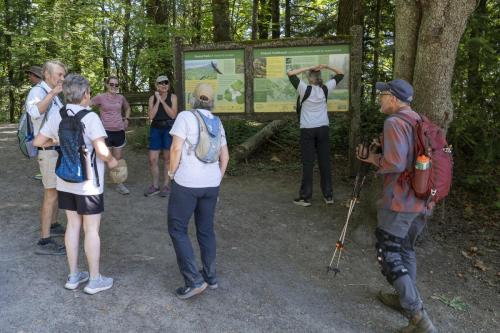 2026-Walk-The-Wildwood-46