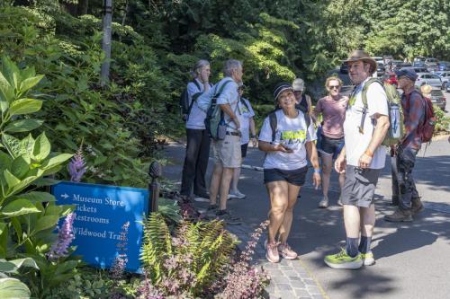 2026-Walk-The-Wildwood-47