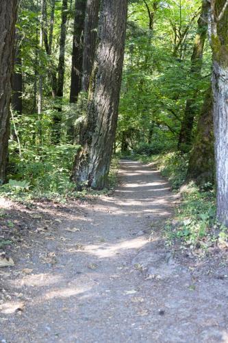 2026-Walk-The-Wildwood-51