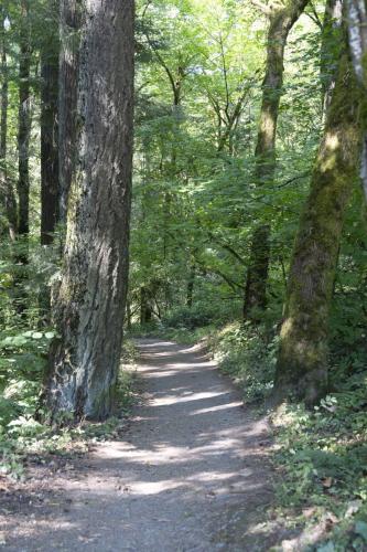 2026-Walk-The-Wildwood-52