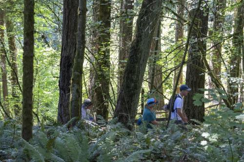 2026-Walk-The-Wildwood-53