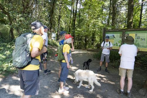 2026-Walk-The-Wildwood-58